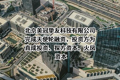 北京美冠挚友科技有限公司完成天使轮融资，投资方为真成投资、探方资本、火凤资本