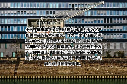 小米科技有限责任公司