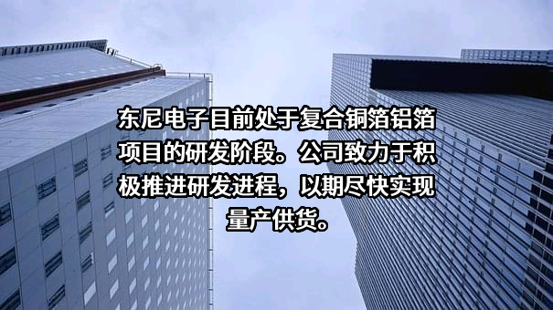 浙江东尼电子股份有限公司