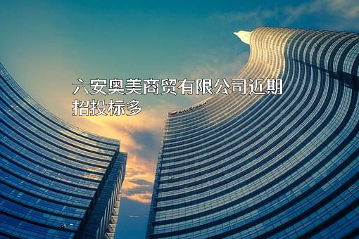 六安奥美商贸有限公司