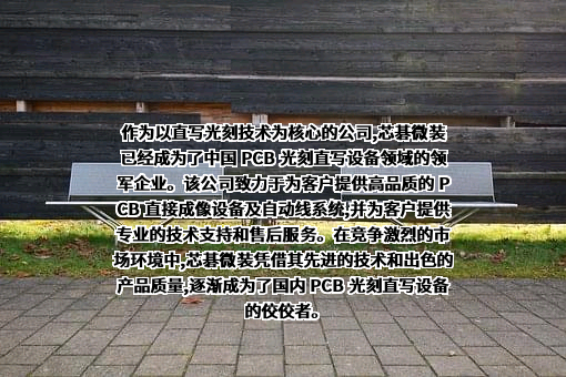 合肥芯碁微电子装备股份有限公司