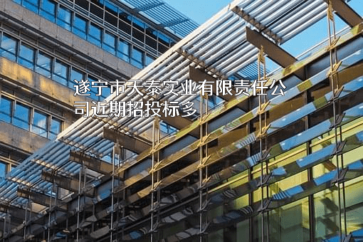 遂宁市天泰实业有限责任公司