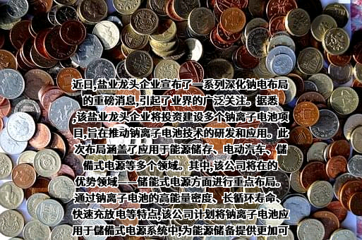 埃索凯科技股份有限公司