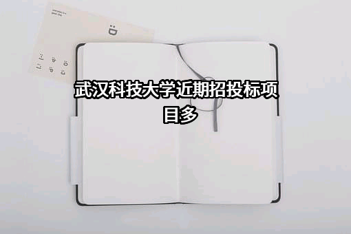 武汉科技大学