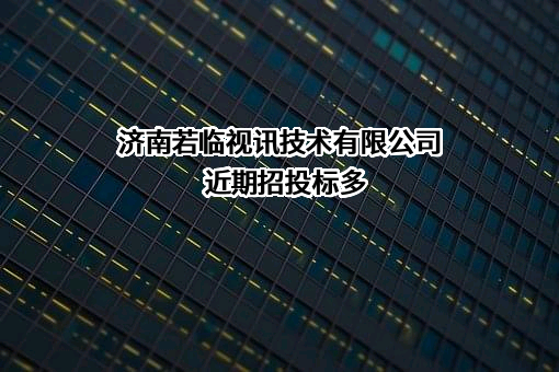 济南若临视讯技术有限公司