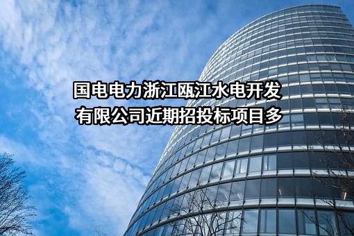 国电电力浙江瓯江水电开发有限公司