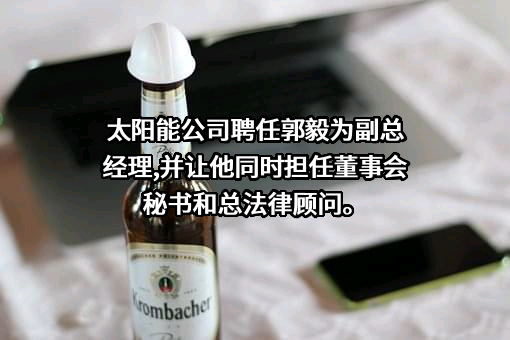 中节能太阳能股份有限公司