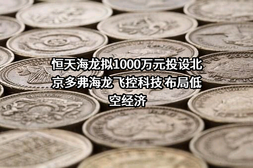 恒天海龙股份有限公司
