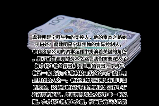广东德骏投资有限公司