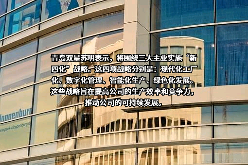青岛双星股份有限公司