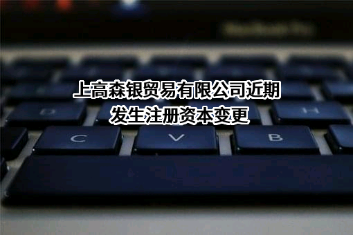 上高森银贸易有限公司