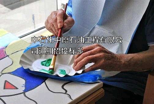 中石化中原石油工程有限公司