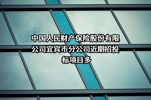 中国人民财产保险股份有限公司宜宾市分公司近期招投标项目多