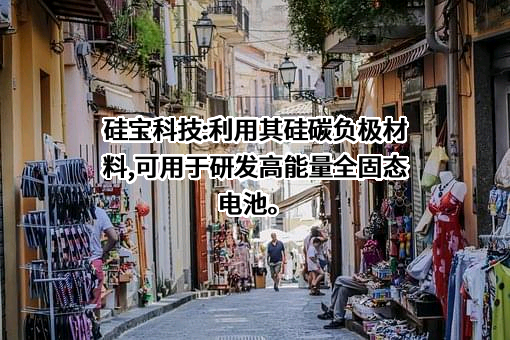 成都硅宝科技股份有限公司