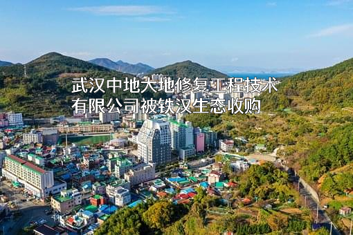 武汉中地大地修复工程技术有限公司