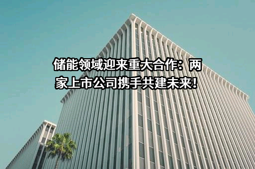 合肥国轩高科动力能源有限公司
