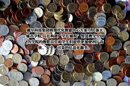 浙大城市学院