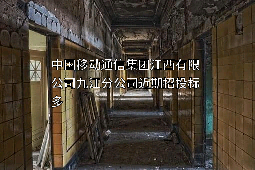 中国移动通信集团江西有限公司九江分公司