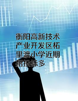 衡阳高新技术产业开发区柘里渡小学近期招投标项目多