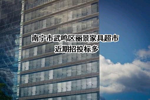 南宁市武鸣区丽景家具超市