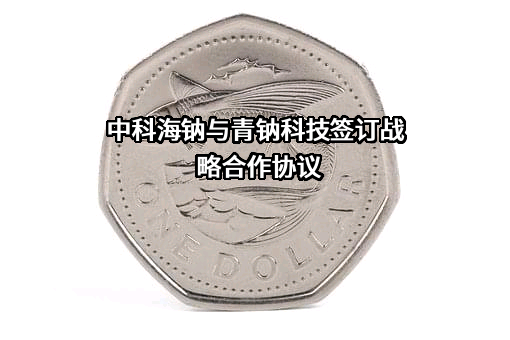北京中科海钠科技有限责任公司