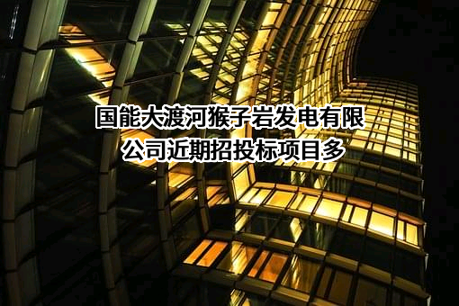 国能大渡河猴子岩发电有限公司近期招投标项目多