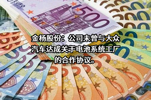大众汽车（中国）投资有限公司