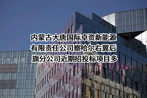内蒙古大唐国际卓资新能源有限责任公司察哈尔右翼后旗分公司