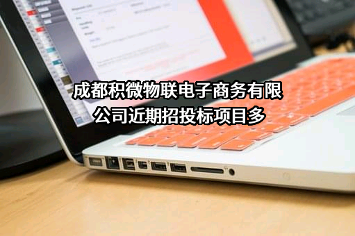成都积微物联电子商务有限公司