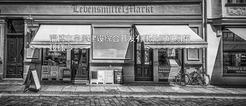 淄博市房屋建设综合开发有限公司