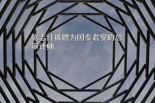 国泰君安证券股份有限公司