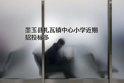 墨玉县扎瓦镇中心小学