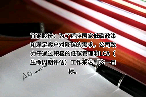 北京首钢股份有限公司