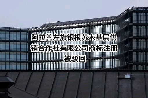 阿拉善左旗银根苏木基层供销合作社有限公司商标注册被驳回