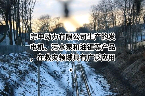 重庆宗申动力机械股份有限公司