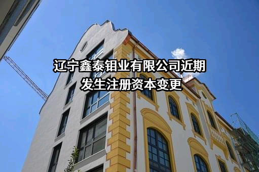 辽宁鑫泰钼业有限公司