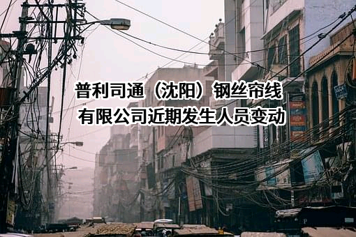 普利司通（沈阳）钢丝帘线有限公司