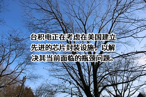 台积电（中国）有限公司