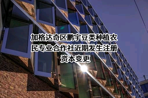 加格达奇区鹏宇豆类种植农民专业合作社近期发生注册资本变更