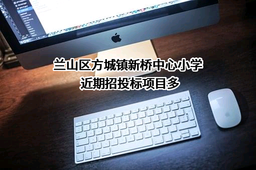 兰山区方城镇新桥中心小学