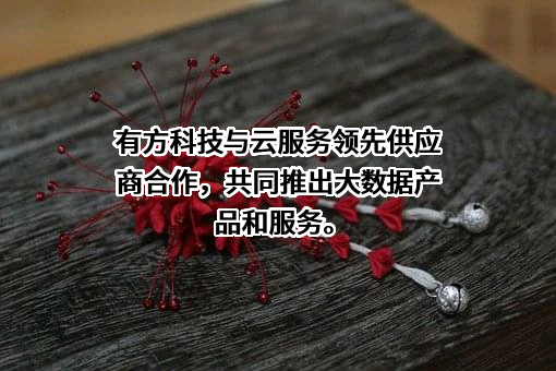 天津大普微电子科技有限公司