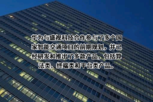 盛视科技股份有限公司