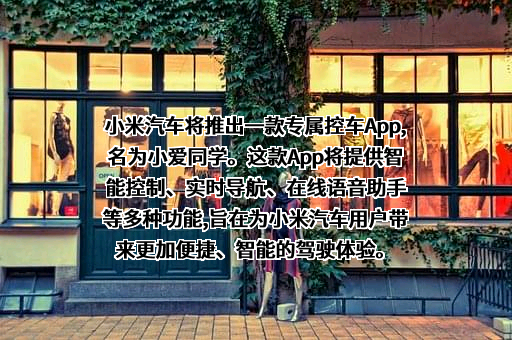 小米汽车有限公司