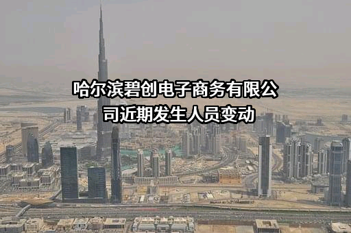 哈尔滨碧创电子商务有限公司