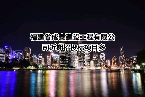 福建省成泰建设工程有限公司