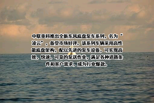 中联重科股份有限公司