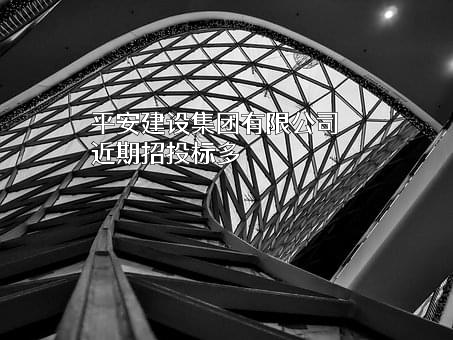 平安建设集团有限公司