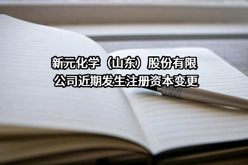 新元化学（山东）股份有限公司