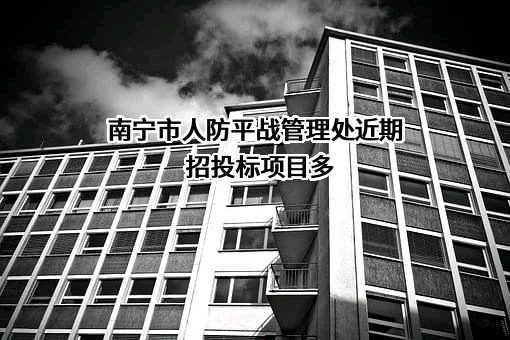 南宁市人防平战管理处