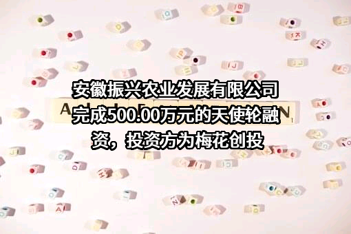 安徽振兴农业发展有限公司完成500.00万元的天使轮融资，投资方为梅花创投